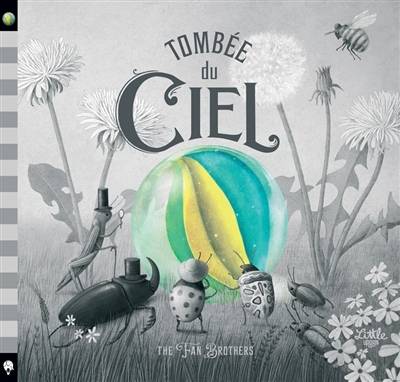 Tombée du ciel | The Fan brothers, Veronique Mercier-Gallay