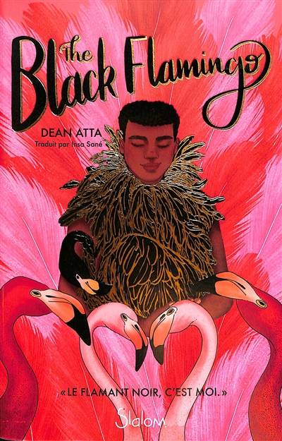 The black flamingo | Dean Atta, Insa Sane