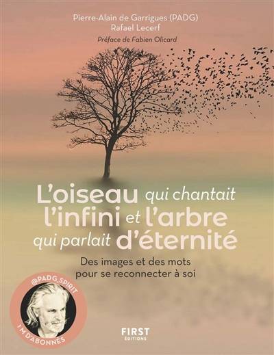 L'oiseau qui chantait l'infini et l'arbre qui parlait d'éternité : des images et des mots pour se reconnecter à soi | Pierre-Alain de Guarrigues, Rafael Lecerf, Fabien Olicard