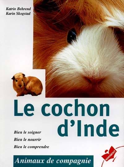 Le cochon d'Inde | Katrin Behrend