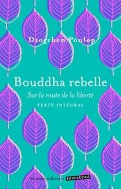 Bouddha rebelle : sur la route de la liberté | Dzogchen Ponlop, Philippe Delamare