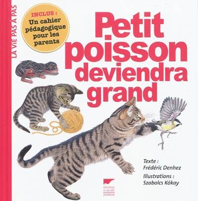 Petit poisson deviendra grand | Frédéric Denhez, Szabolcs Kókay