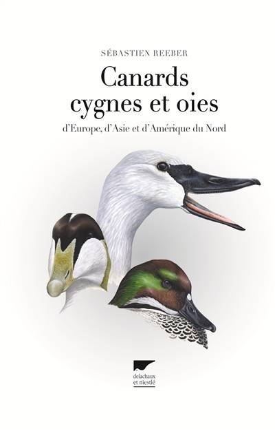 Canards, cygnes et oies : d'Europe, d'Asie et d'Amérique du Nord | Sebastien Reeber