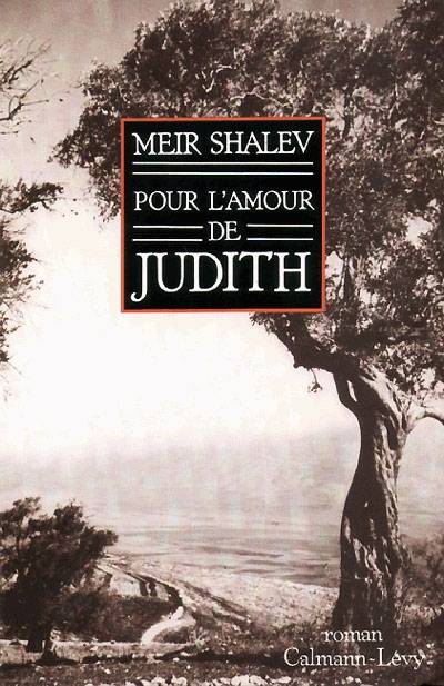 Pour l'amour de Judith | Meir Shalev, Arlette Pierrot