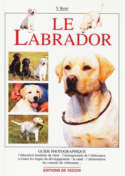 Le labrador | Valeria Rossi, Alessandra Ore