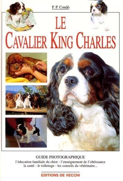 Le Cavalier King Charles | Pietro Paolo Condò