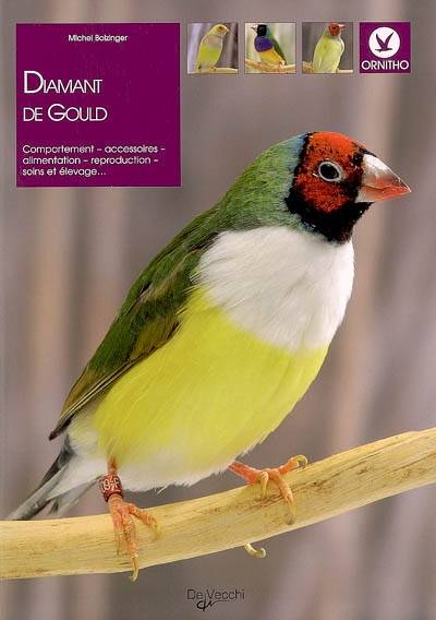 Diamant de Gould | Michel Bolzinger