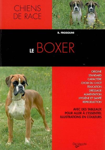 Le boxer | Bianca Frosolini