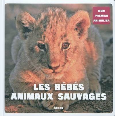 Les bébés animaux sauvages | Patrick David