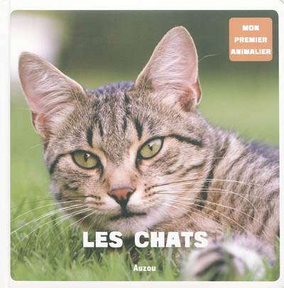 Les chats | Patrick David