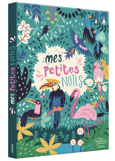 Mes petites notes | Paula McGloin