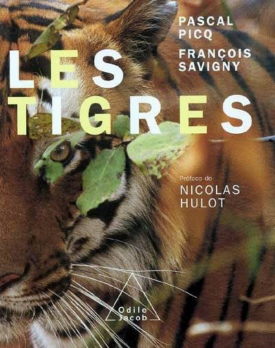 Les tigres | Pascal Picq, François Savigny, Nicolas Hulot