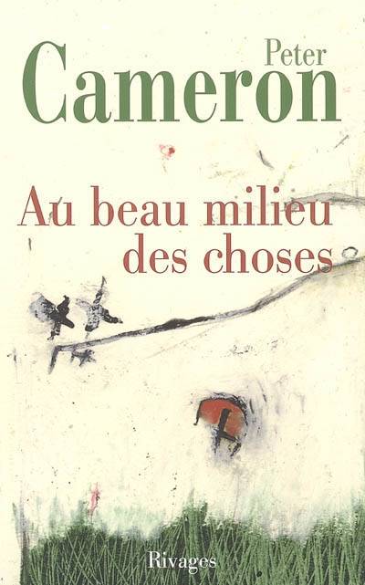 Au beau milieu des choses | Peter Cameron, Anne Wicke