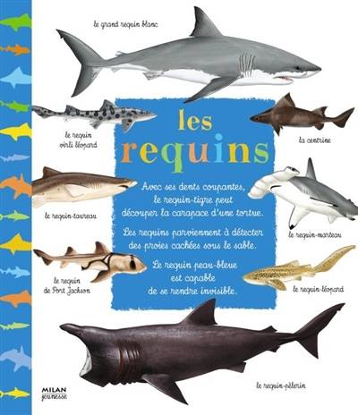 Les requins | Patrick Louisy, Pascal Robin