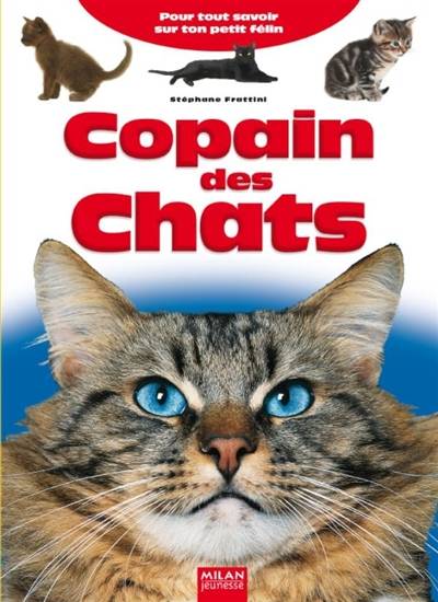 Copain des chats | Stéphane Frattini, Sophie Toussaint, Bernard Delanghe