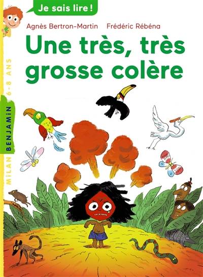 Une très, très grosse colère | Agnès Bertron-Martin, Frédéric Rébéna