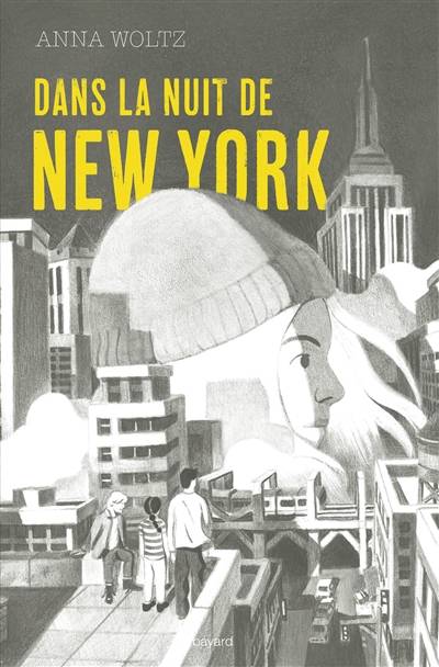 Dans la nuit de New York | Anna Woltz, Emmanuèle Sandron