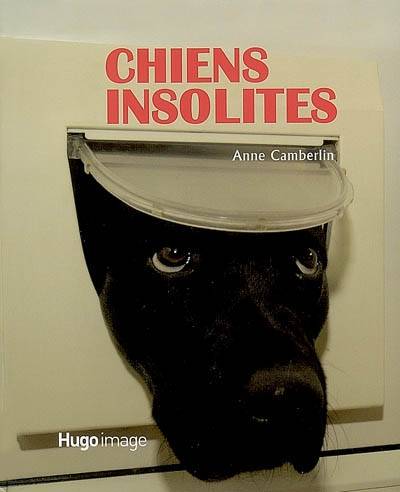 Chiens insolites | Anne Camberlin