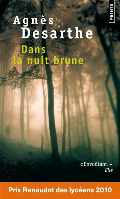 Dans la nuit brune | Agnès Desarthe