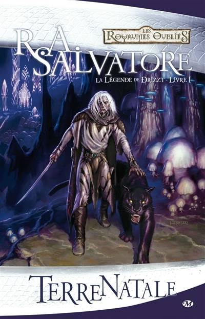 La légende de Drizzt. Vol. 1. Terre natale | R.A. Salvatore, Sonia Quémener