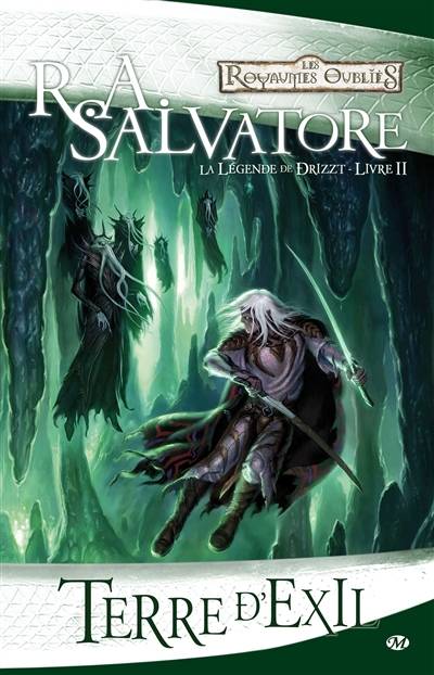 La légende de Drizzt. Vol. 2. Terre d'exil | R.A. Salvatore, Yann Chican