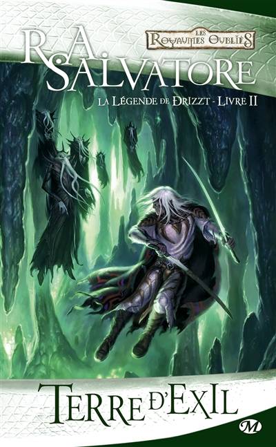 La légende de Drizzt. Vol. 2. Terre d'exil | R.A. Salvatore, Yann Chican