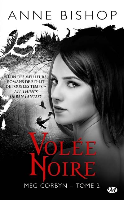 Meg Corbyn. Vol. 2. Volée noire | Anne Bishop, Sophie Barthélémy