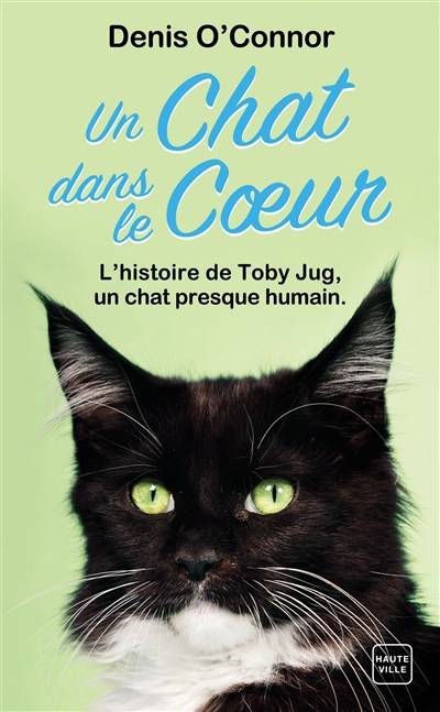 Un chat dans le coeur : une année dans la vie d'un chat rescapé | Denis O'Connor, Fred Le Berre