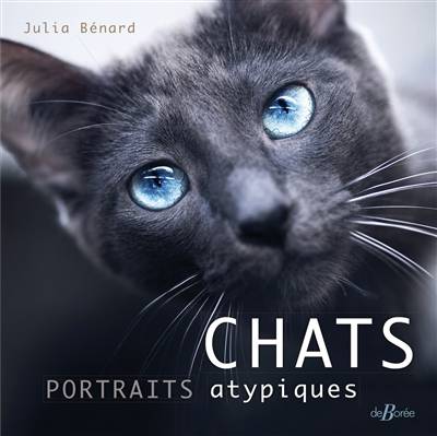 Chats : portraits atypiques | Julia Benard