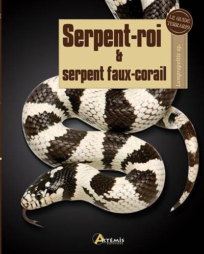 Serpent-roi & serpent faux-corail : Lampropeltis sp. | Adam Black, Catherine Bricout