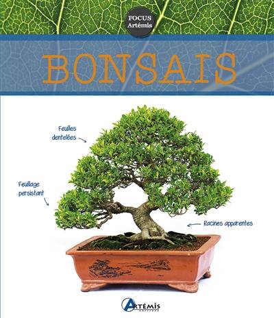 Bonsaïs | Isabelle Calmets