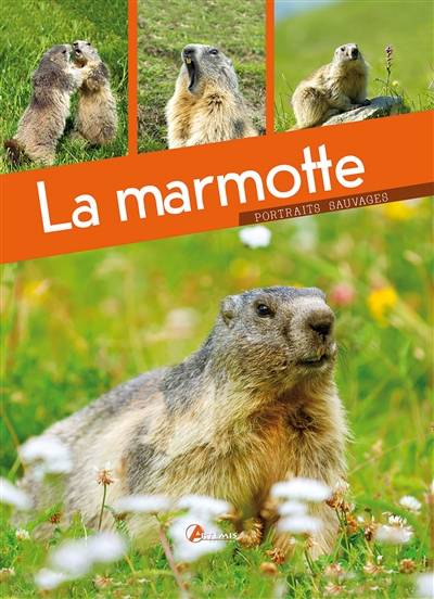 La marmotte | Maurice Dupérat