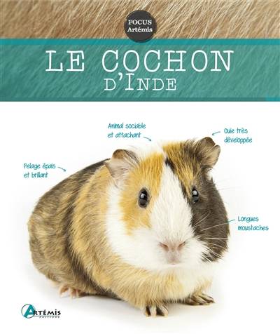 Cochon d'Inde | Petra Dietz, Eva-Grit Schneider, Pierre Bertrand