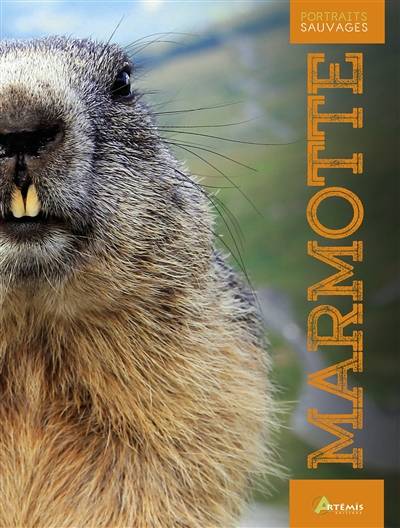 Marmotte | Maurice Duperat