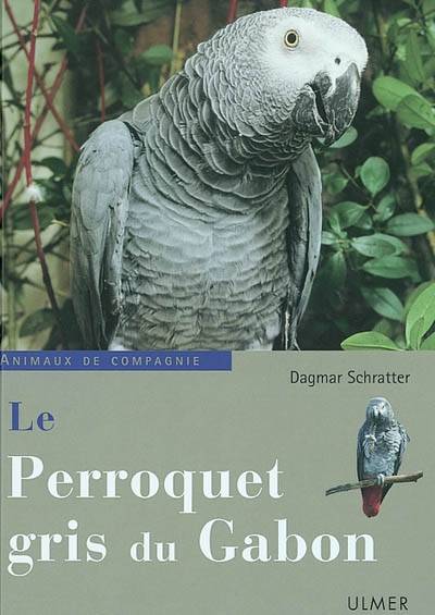 Le perroquet gris du Gabon | Dagmar Schratter