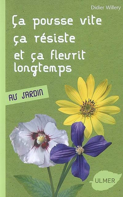 Ça pousse vite, ça résiste et ça fleurit longtemps au jardin | Didier Willery