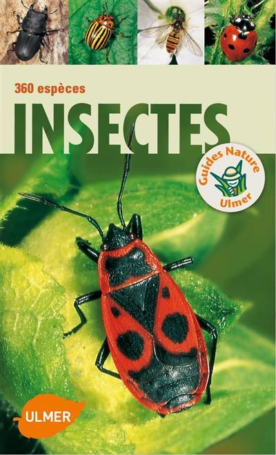 Insectes : 360 espèces | Heiko Bellmann, Gunter Steinbach, Klaus Riegler