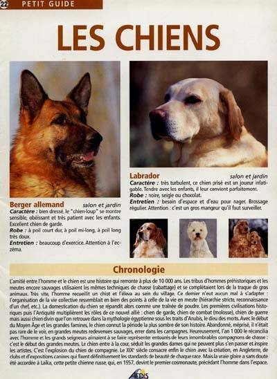 Les chiens | 