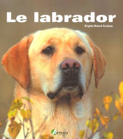 Le labrador | Brigitte Bulard-Cordeau