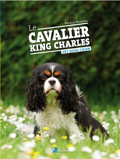 Le Cavalier King Charles | Danielle Marchand