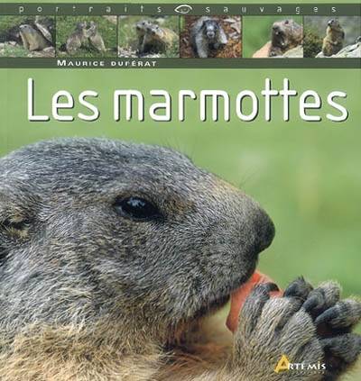 Les marmottes | Maurice Duperat