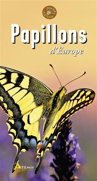 Papillons d'Europe | Vincent Albouy