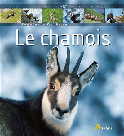 Le chamois | Emmanuelle Dal'Secco