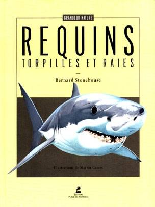 Les requins, les torpilles et les raies | Bernard Stonehouse, Martin Camm, Hélène Prouteau