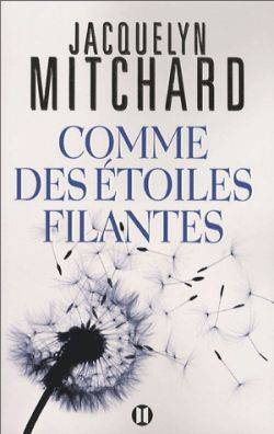 Comme des étoiles filantes | Jacquelyn Mitchard, Marianne Bertrand