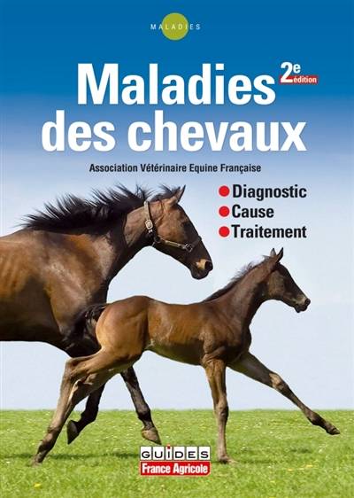 Maladies des chevaux : diagnostic, cause, traitement | Association vétérinaire équine française, Jean-Yves Gauchot