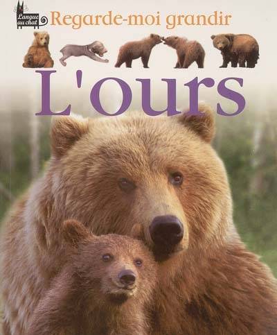 L'ours | Lisa Magloff, Lise-Eliane Pomier