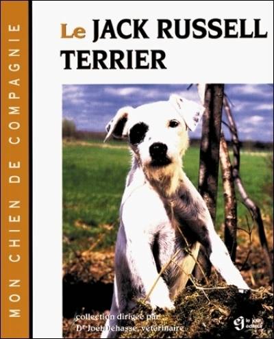 Le Jack Russell terrier | Joël Dehasse