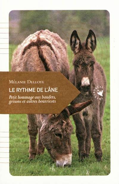 Le rythme de l'âne : petit hommage aux baudets, grisons et autres bourricots | Mélanie Delloye