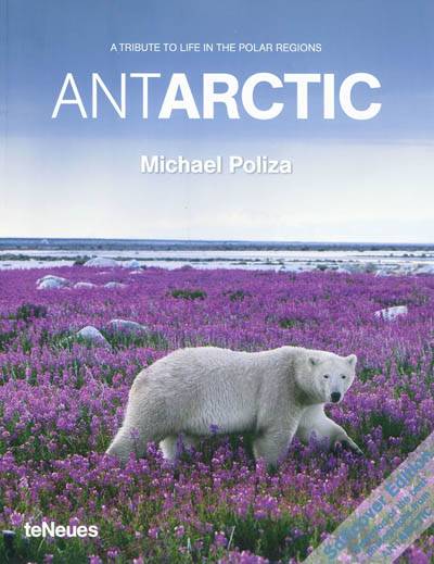 Antarctic : a tribute to life in the polar regions | Michael Poliza